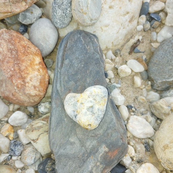 Meet your Posher, Michelle - Picture 1 of 1